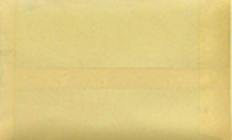 Vista posterior